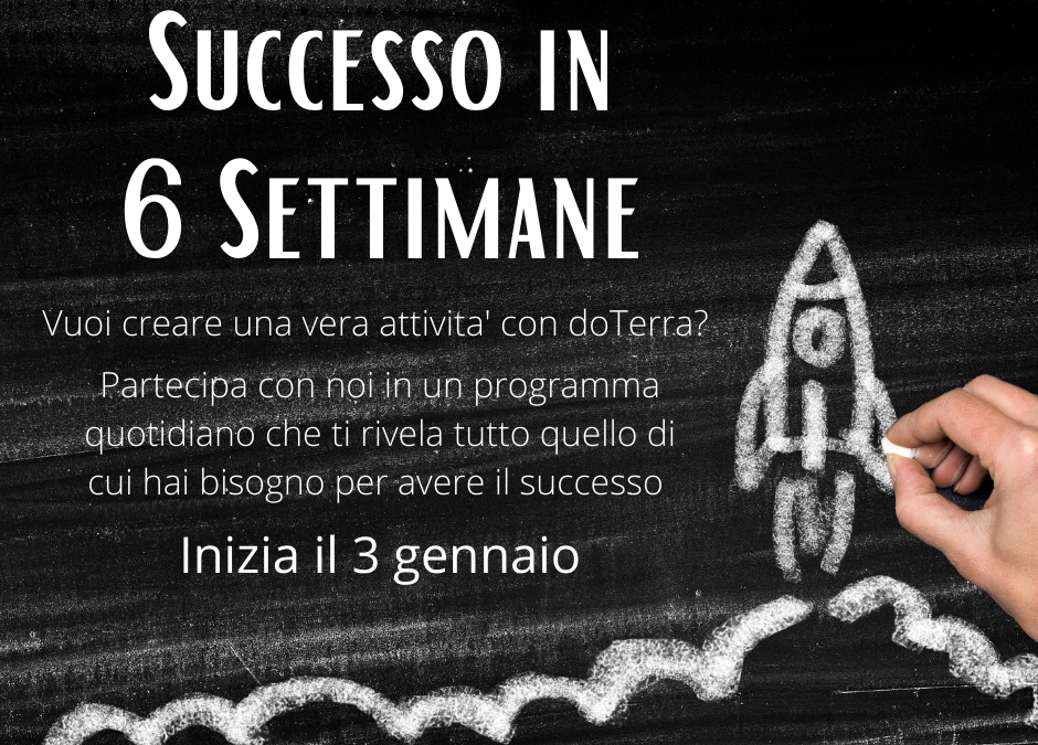 Successo in 6 Settimane