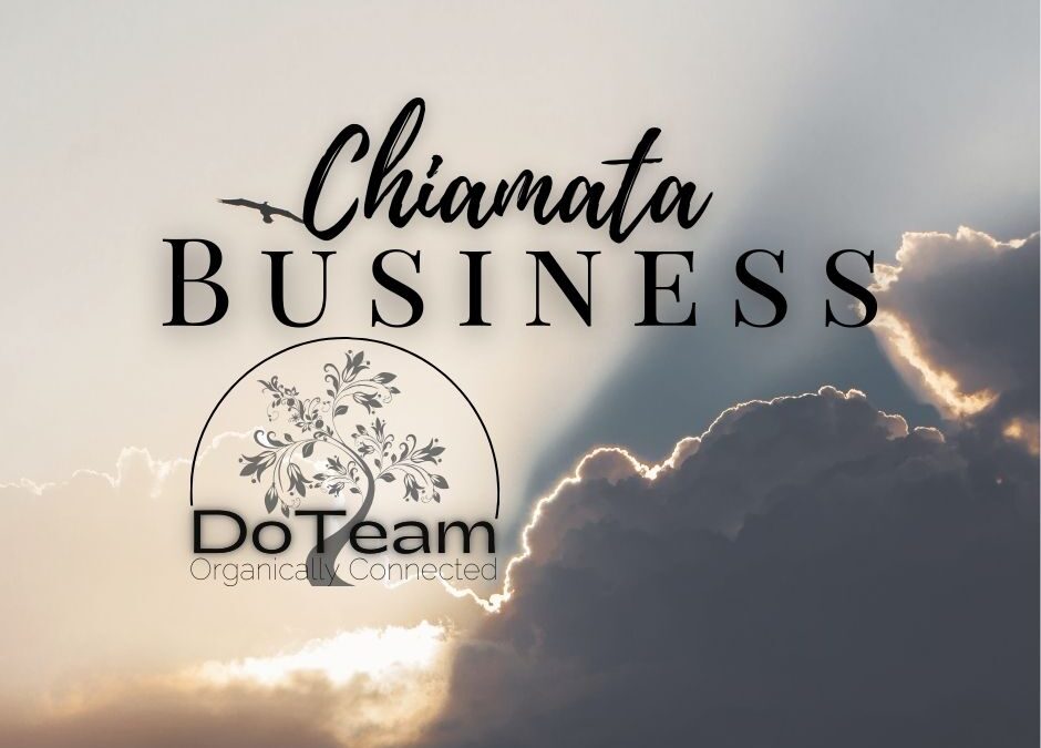 Chiamata Business